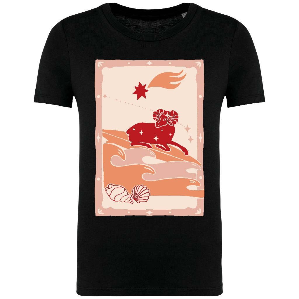 CL_ARIES_PS_NS307_BLACK