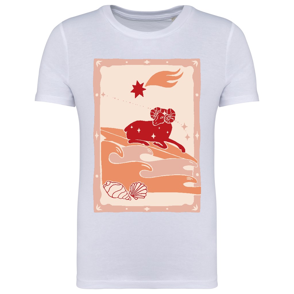 CL_ARIES_PS_NS307_WHITE
