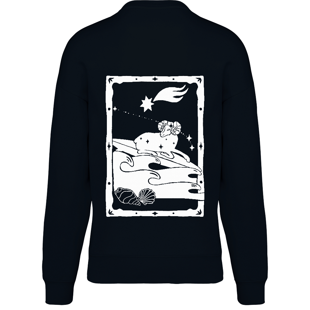 UNISEX SWEATSHIRT WB ARIES