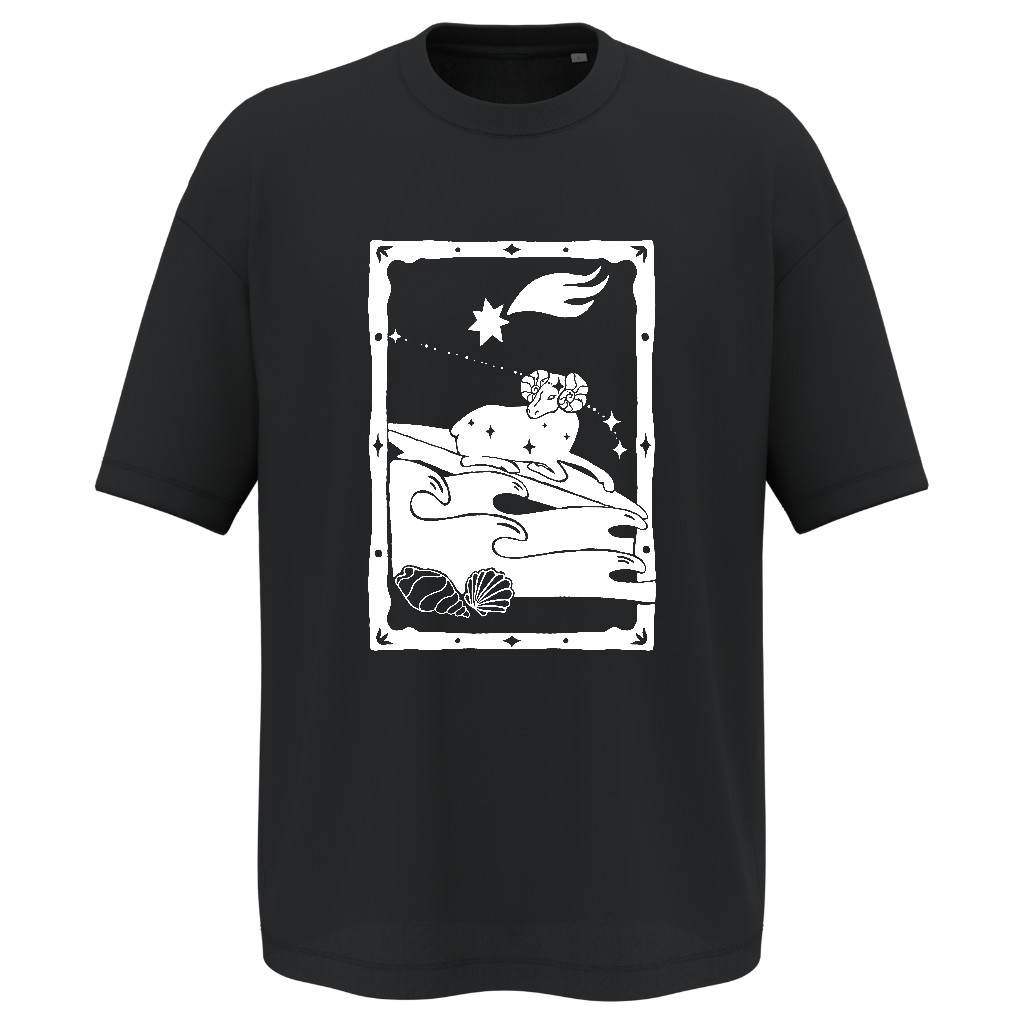 UNISEX TSHIRT WB ARIES