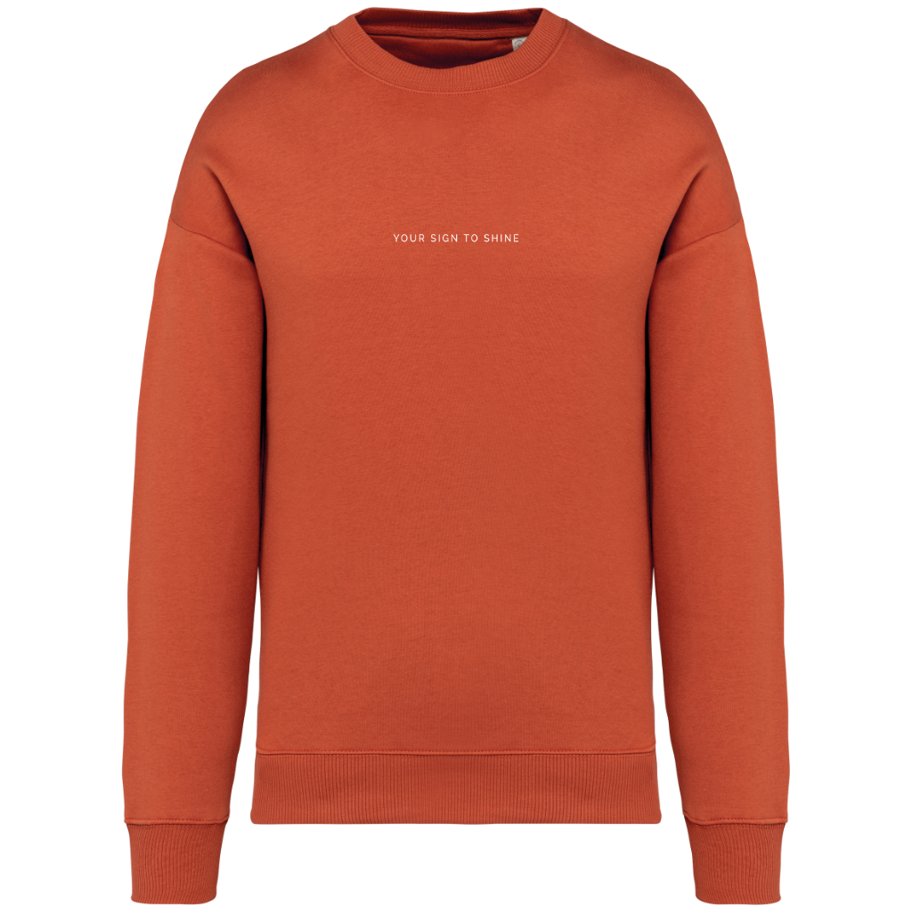 Minimal_PS_NS407_BURNTBRICKnew